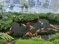 -罗红摄影艺术馆