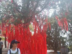 -青州市云门山风景区