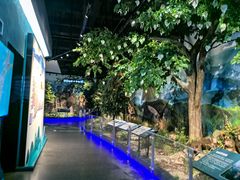 -湖南省地质博物馆