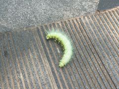 -绵阳人民公园(涪城区)