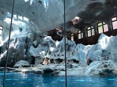 -帝企鹅自助餐厅•儿童岛•真企鹅(长隆企鹅酒店)