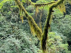 -西岭雪山大飞水景区