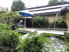 -园林美食城·本土农家菜(杨和镇店)