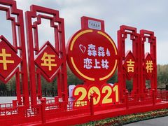 -黄海国家森林公园