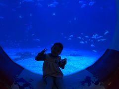 -烟台海昌鲸鲨海洋公园