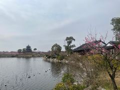 -上海海湾国家森林公园