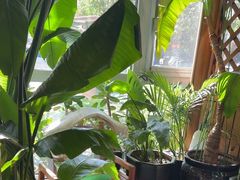 -草原塞蛮羊火锅城(港湾店)