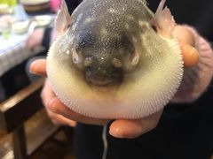 -观桥阁(锦溪店)