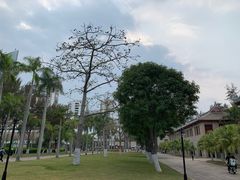 -厦门大学(思明校区)