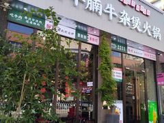 -粉灯牛腩牛杂煲·鸡煲(双井店)