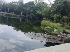 -广西大学(大学东路校区)