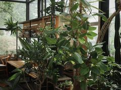 -北马山庄植趣咖啡