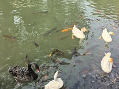 -天毓山庄·餐厅