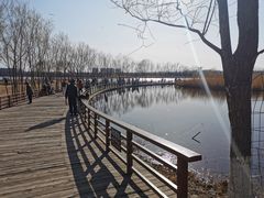 -绿堤公园