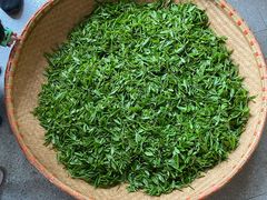 -大唐贡茶院