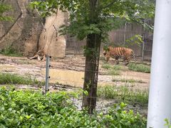 -秦皇岛野生动物园