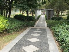 -金山公园
