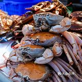 三亚必吃海鲜自助🦀帝王蟹随便吃不限量‼️