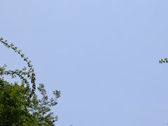 -铁路文化公园