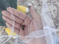 -三亚西岛海洋文化旅游区