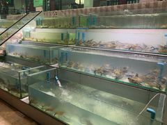 -光海鲜鱼翅餐厅(叻差拉披色路店)