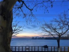 -中国西峡恐龙遗迹园