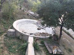 -石家庄市动物园