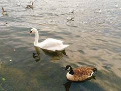 -海德公园