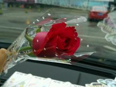 -枫花园汽车电影院(朝阳公园店)