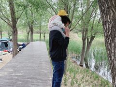 -东郊湿地公园