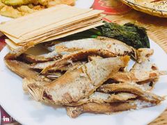 -向民炒鸡老店(火车站店)