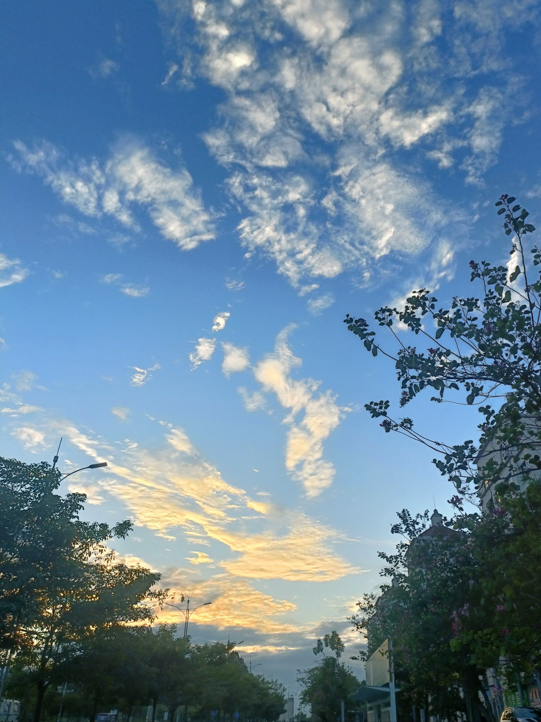 抑郁症的识别与治疗