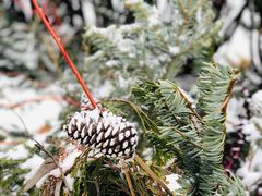 -66号公路起点牌