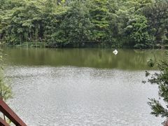 -东莞市大岭山森林公园