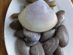 珍珠蚌-凯华海鲜火锅·传承三十六年