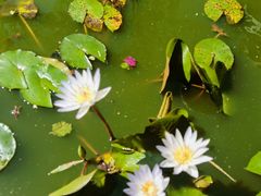 -七仙岭温泉国家森林公园