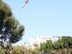 -深圳龙潭公园