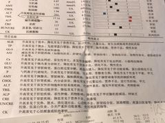 -邢大夫动物医院