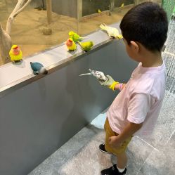 -神奇动物撸宠馆·羊驼·小浣熊·异宠(豫园店)
