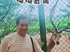 -北京麋鹿生态实验中心