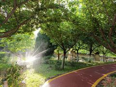 -西安汉城湖景区