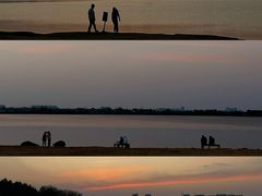 -瑶湖郊野森林公园