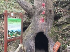 -老君洞旅游度假区