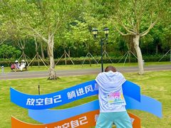 -野狸岛