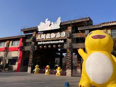 -南宫五洲植物乐园