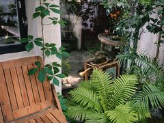 -植觉