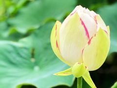 -南戴河国际娱乐中心