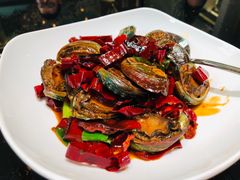 辣炒小鲍鱼-开海·红岛海鲜虾水饺(石老人店)