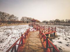 -稻香湖景欢乐岛温泉城堡