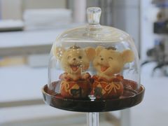 -歌斐颂巧克力小镇